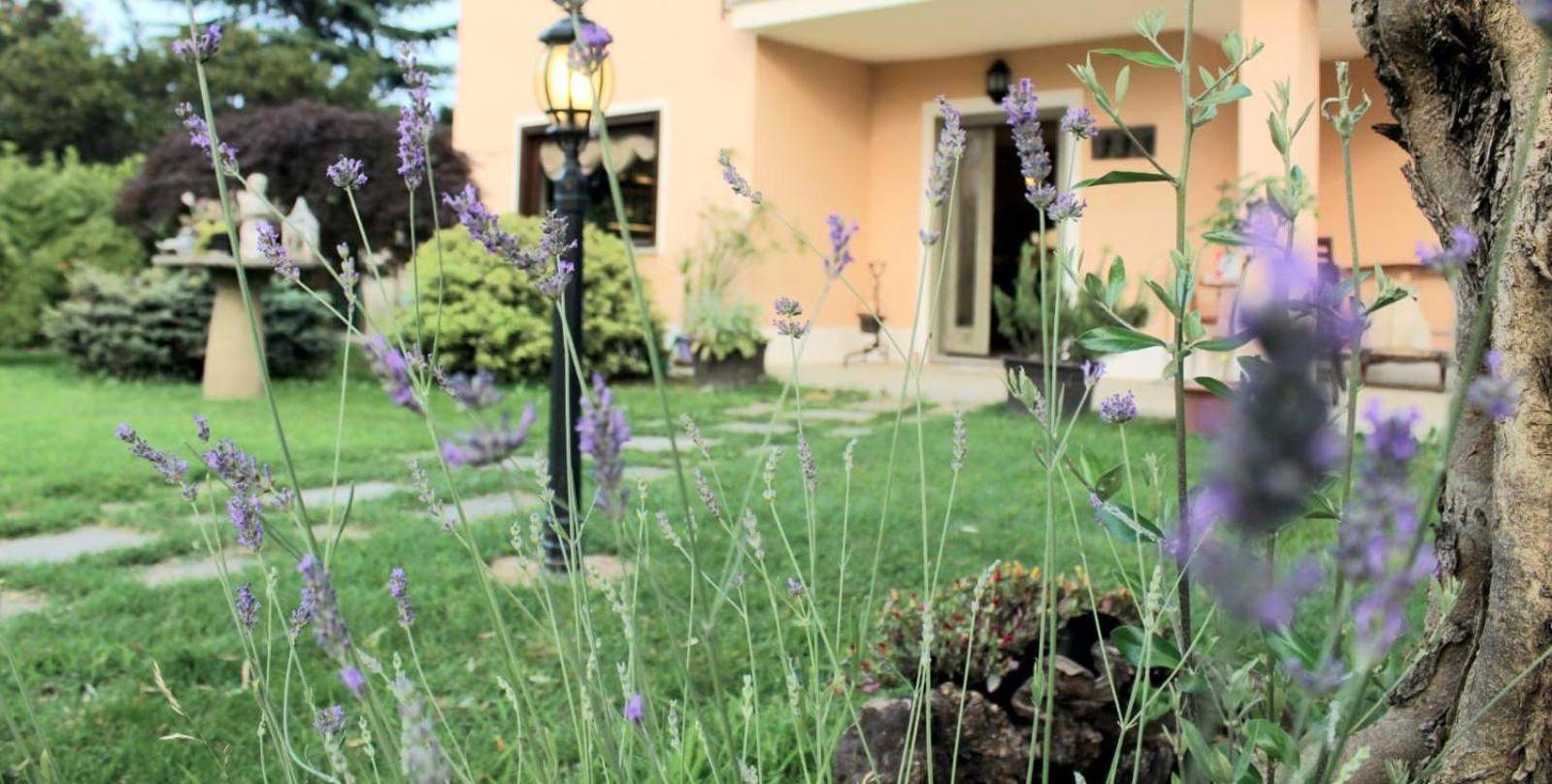 Un Sorriso Sul Viso Villa Martiniana Po Buitenkant foto